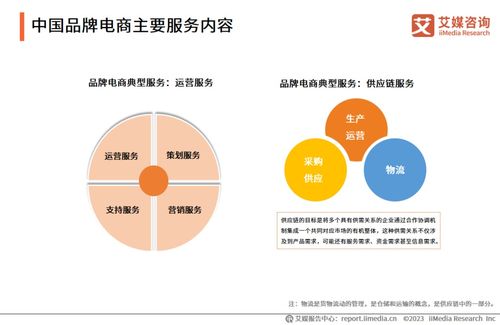 2023年中國品牌電商服務行業研究報告 信息咨詢服務引領新增長
